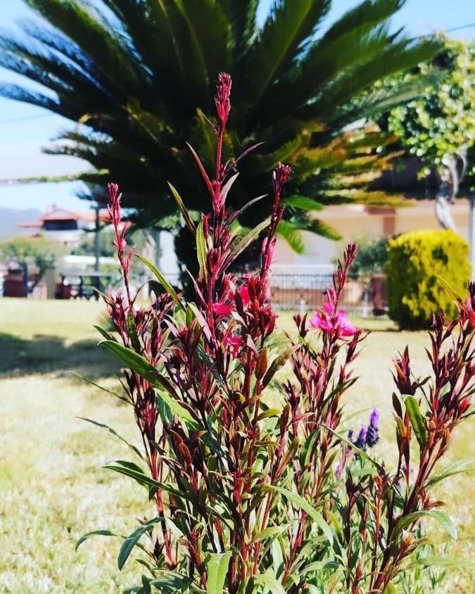 Pfaffenhofen Daire Vrasná Dış mekan fotoğraf